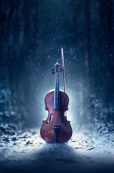 Cello Love Cello Love